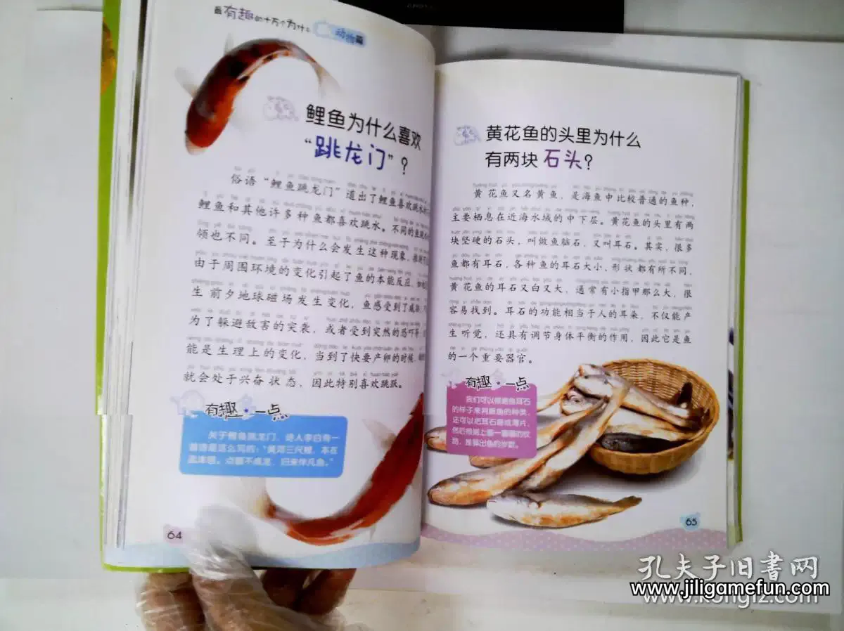 【学习资料】幼儿十万个为什么超有趣百度云阿里云下载