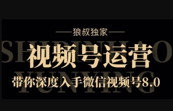 【学习资料】狼叔视频号运营实战课百度云阿里云下载