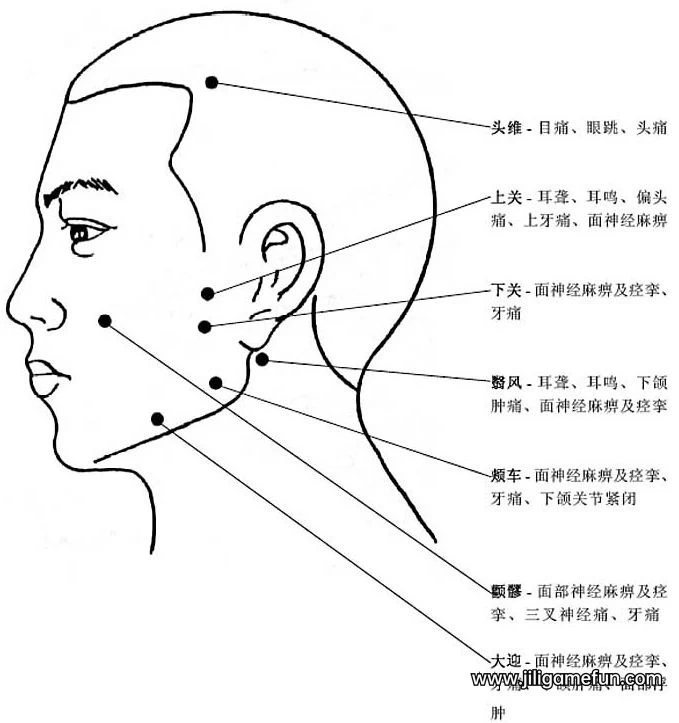 【学习资料】超高清人体穴位图百度云阿里云下载