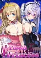 Switch游戏 -监狱公主 Prison Princess-百度网盘下载