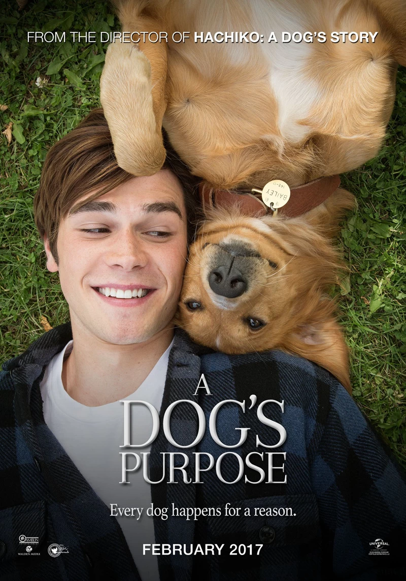 一条狗的使命 蓝光原盘下载+高清MKV版/ 为了与你相遇(台) 2017 A Dog’s Purpose 37.13G