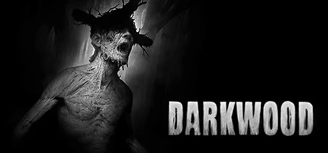 《阴暗森林 Darkwood》中文v1.4a绿色版,迅雷百度云下载