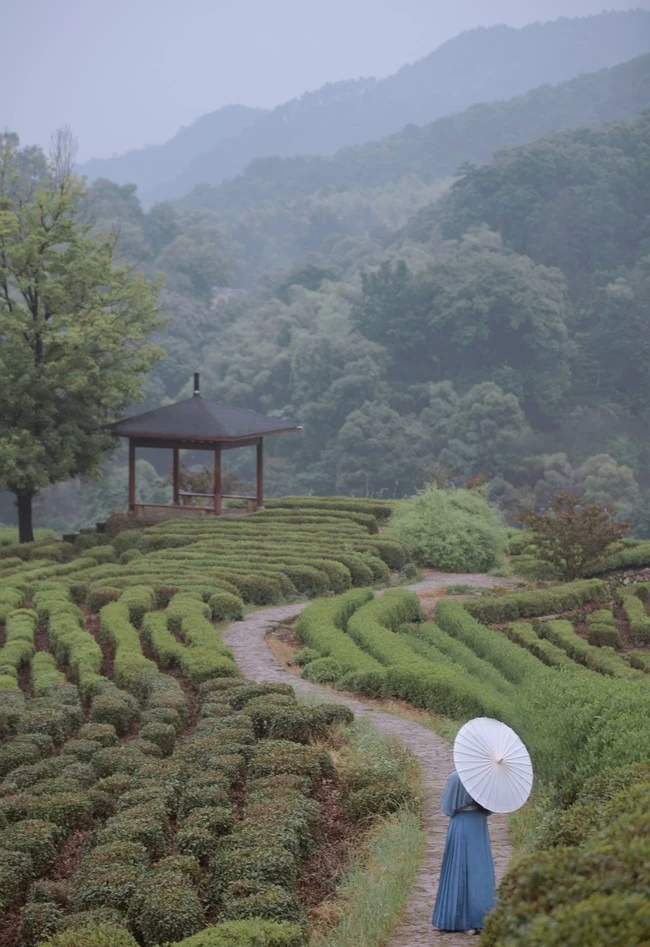 唯有山茶偏耐久，绿丛又放数枝红。