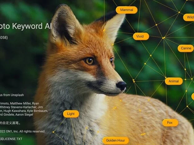 照片素材智能管理AI关键词标注软件 ON1 Photo Keyword AI 2023.5 Win/Mac中文版 – 百度云下载