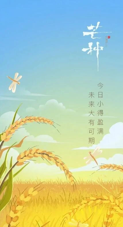 中国24节气芒种海报PSD模板75套 – 夸克云下载