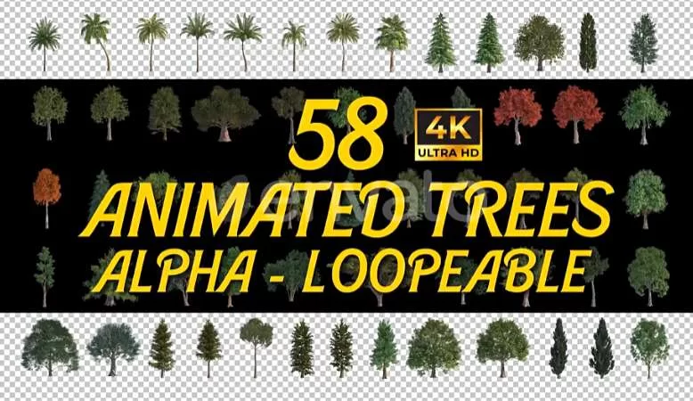 AE模板 58个植物树木循环动画视频素材 Animated Trees Alpha Loop Pack 4K – 百度云下载