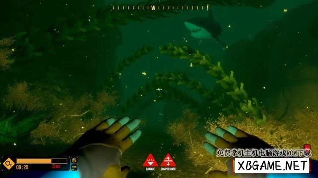 Switch游戏–NS 深潜探险（Deep Diving Adventures）中文+V1.0.2[XCI],百度云下载