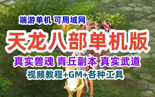 天龙八部单机一键端 可局域网 经典怀旧真实武道副本 教程+GM