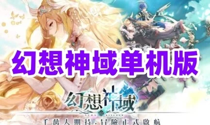 网单幻想神域单机版14职125级+18职95版本 网游单机