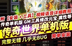 网单 传奇世界星河单机版 一键服务端 GM网单传奇 网游单机