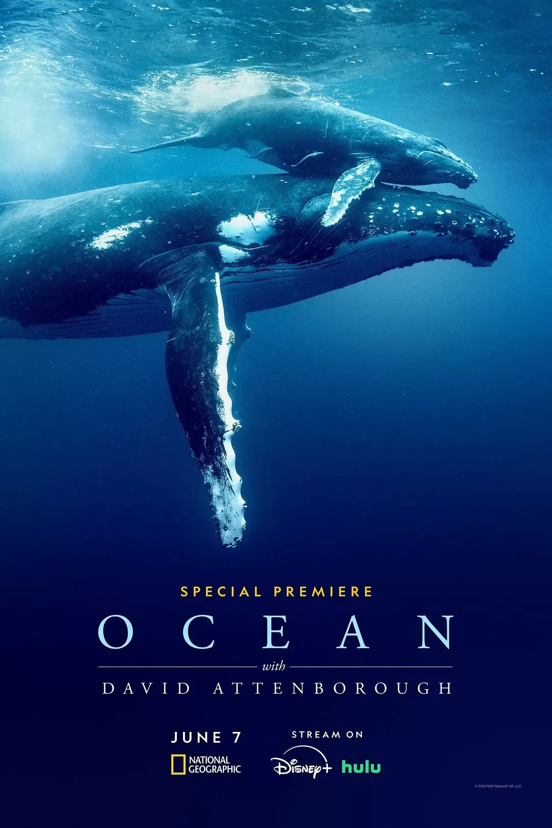 大卫·爱登堡：海洋 WEB-DL版下载/Ocean with David Attenborough 2025 David Attenborough: Ocean 7.87G