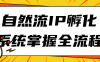 【学习资料】自然流IP孵化系统掌握全流程百度云阿里下载