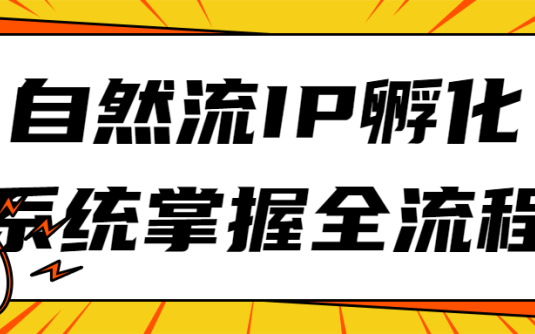 【学习资料】自然流IP孵化系统掌握全流程百度云阿里下载