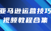 【学习资料】亚马逊运营技巧视频教程合集百度云迅雷下载
