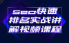 【学习资料】seo快速排名实战讲解视频课程百度云阿里云下载