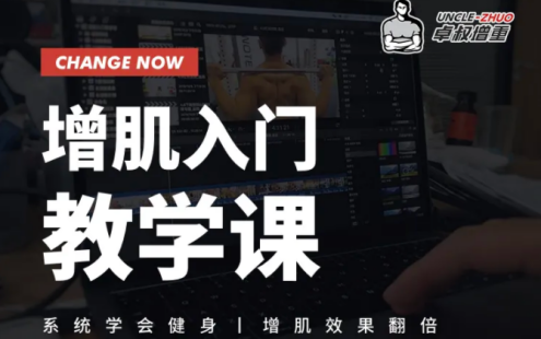 【学习资料】桌叔增肌入门教学课百度云迅雷下载