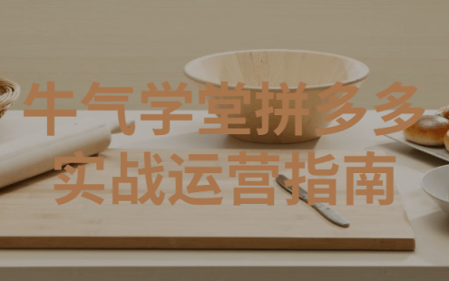 【学习资料】牛气学堂拼多多实战运营指南百度云迅雷下载