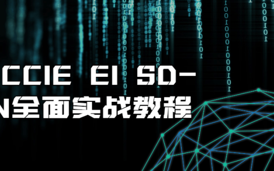 【学习资料】思科CCIE EI SD-WAN全面实战教程百度云迅雷下载