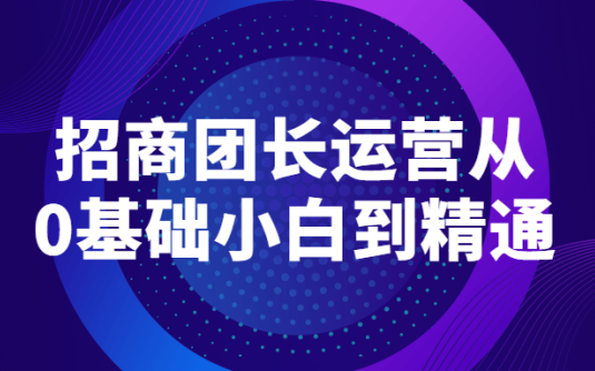 【学习资料】招商团长运营从0基础小白到精通百度云阿里云下载