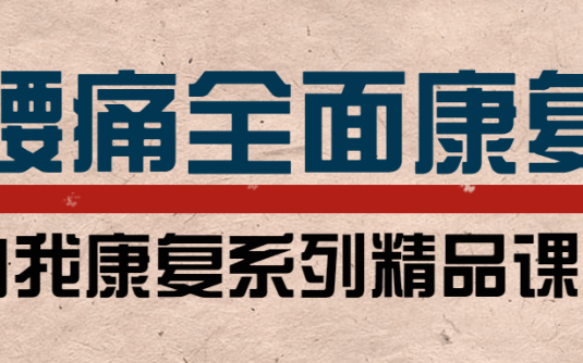 【学习资料】腰痛运动康复：教练与患者必学百度云阿里云下载