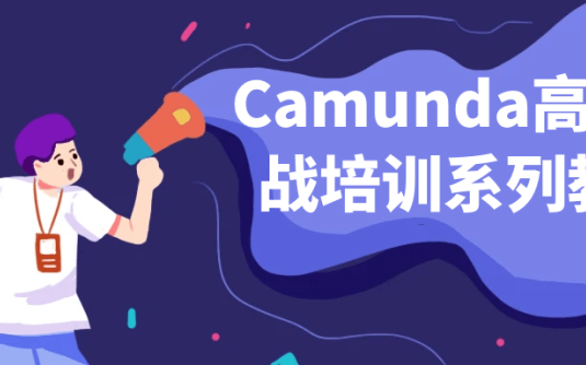 【学习资料】Camunda高级实战培训系列教程阿里云天翼夸克网盘下载