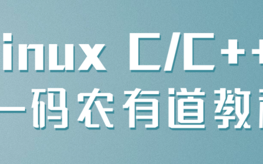 【学习资料】linux C/C++ —码农有道教程阿里云天翼夸克网盘下载