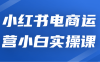 【学习资料】小红书电商运营小白实操课阿里云天翼夸克网盘下载