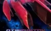 Switch游戏 -次元驱动 Dimension Drive-百度网盘下载