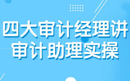 【学习资料】四大审计经理讲审计助理实操阿里云天翼夸克网盘下载