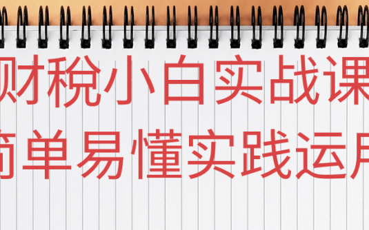 【学习资料】财稅小白实战课简单易懂实践运用阿里云天翼夸克网盘下载