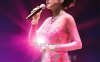 叶丽仪 45年香港情演唱会 蓝光原盘+高清MKV版/ 2015 Frances Yip 45th Anniversary Live In Hong Kong Karaoke 21.39G