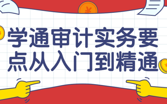 【学习资料】学通审计实务关键从入门到通晓课 – 百度,天翼,夸克网盘下载