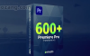 PR模板-600个视频文字片头转场过渡预设 pr template transition – 百度云下载