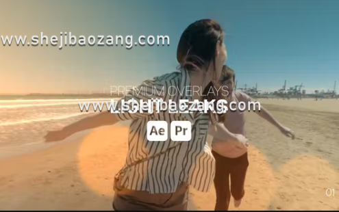 AE/PR模板-Premium Overlays Light Leaks镜头光晕炫光动画叠加特效 – 百度云下载