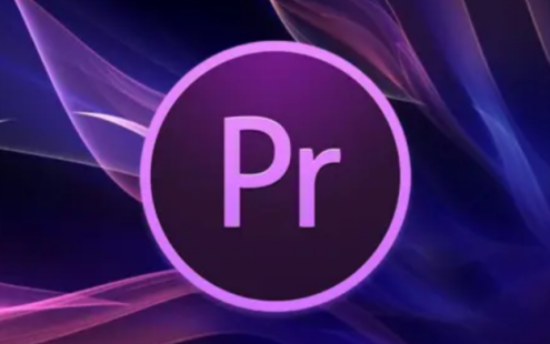 PR教程大合集！从入门到精通全套免费教学！ – 百度云下载