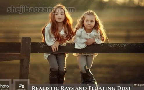 可商用！YYDS超真实光效粉尘！4K笔刷PS资源！ – 百度云下载