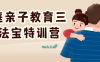 【学习资料】家庭亲子教育三大法宝特训营百度云迅雷下载 – 百度,天翼,夸克网盘下载