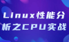 【学习资料】Linux性能分析之CPU实战百度云迅雷下载 – 百度,天翼,夸克网盘下载